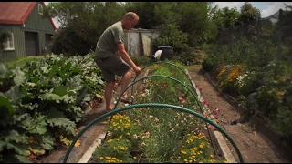 How To Make Hoops For Netting Garden Beds [upl. by Orazal254]