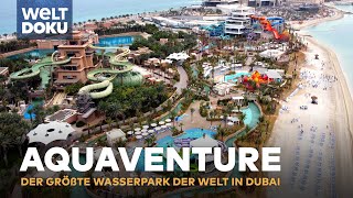 AQUAVENTURE  Der größte Wasserpark der Welt in Dubai  HD Doku [upl. by Urquhart735]