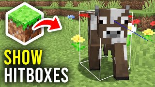 How To Show Hitbox In Minecraft  Full Guide [upl. by Miharbi]