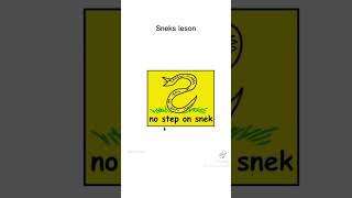 snek leson [upl. by Gardel460]