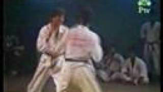 Kung Fu Fighter beat Karate fighter [upl. by Teodoro445]