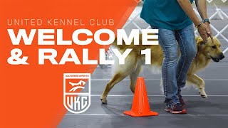 Learn the Beginner Rally Obedience Exercises  UKC Rally Obedience [upl. by Oirrad]