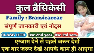 Brassicaceae Family bsc 2nd year in hindi  family cruciferae or brassicaceae economic importance [upl. by Esaertal]