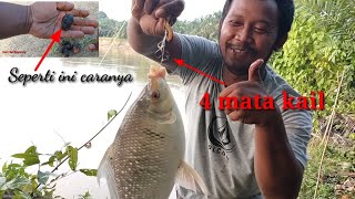 Cara mudah Mancing ikan kelabau  Langsung di tes dan langsung strike [upl. by Ahsinat640]