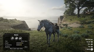 Nokota Horse Spawn Location  Red Dead Redemption 2 [upl. by Hayden]