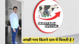 अच्छी गाय कितने दाम में मिलती है  dairyfarm farming farm farmer how to buy cow [upl. by Ibba]