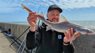 Admiralty pier fishing Dover [upl. by Papert]