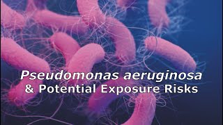 Pseudomonas aeruginosa and Potential Exposure Risks [upl. by Aynod]