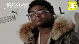 Kodak Black  Pimpin Aint Easy Clean [upl. by Hailahk]