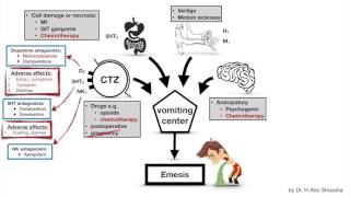 pharmacology of antiemetics [upl. by Eiffub]