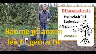 Obstbaum pflanzen leicht gemacht  Baum pflanzen wie ein Profi [upl. by Hax]