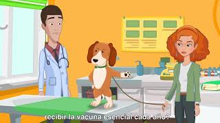 VacciCheck  Titulacion de anticuerpos de Vacunas Esenciales [upl. by Sucramel942]