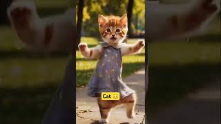 Cute Cat Dance ❤️Cute kitten cat lovecats catscatvideos kittens catlover princesscatkitten [upl. by Erastatus]