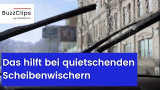 Quietschende Scheibenwischer Das können Sie tun [upl. by O'Dell]