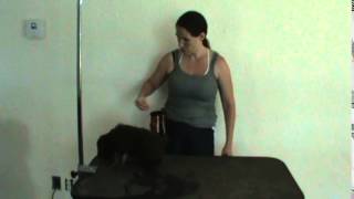 Lagotto puppy training with Jacki Barbieri [upl. by Aggappe568]