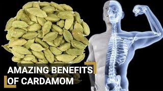 Health Benefits of Elaichi Cardamom [upl. by Otreblanauj650]