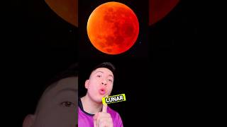 EL PRIMER ECLIPSE LUNAR DEL 2024🌒😱🤯short viral casos sabiasque noticias curiosidades [upl. by Yrellih]