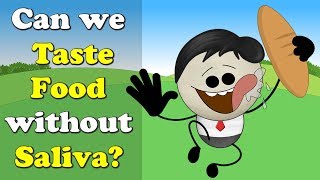 Can we Taste Food without Saliva  more videos  aumsum kids science education children [upl. by Alysia194]