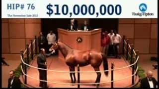 Havre de Grace Sells at Auction [upl. by Marquardt]