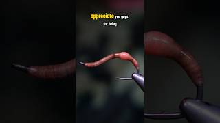 Earthworm Fly [upl. by Fogel]