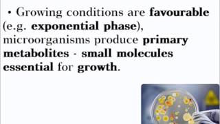 Biotechnology  ALevel A2 Biology Revision [upl. by Sirtimed]