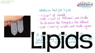 The role of lipids and testing for lipids  Revision for Biology ALevel or IB [upl. by Neliac]