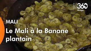 Mali à la découverte d’une plantation de banane plantain [upl. by Trefor783]