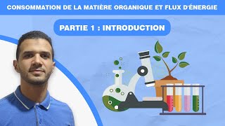 consommation de la matière organique et flux dénergie  partie 1 [upl. by Natiha]