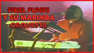 Fidel Funes y su Marimba Orquesta  Concierto De Plata [upl. by Ilzel144]