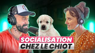 PODCAST 4 Tout savoir sur limportance de la socialisation chez le chiot ft Julie Paucot [upl. by Ethelin828]