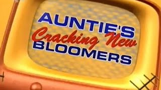 Aunties Cracking New Bloomers 1999 [upl. by Botsford]