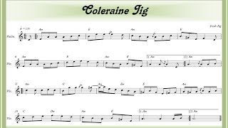 Coleraine Jig [upl. by Einnahpets569]