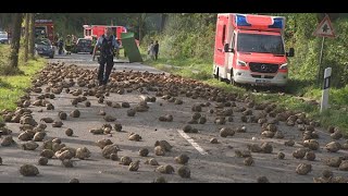 Schwerer Unfall mit Rübentransporter [upl. by Sanalda]