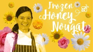 Honey Nougat Recipe Frozen [upl. by Grefer]