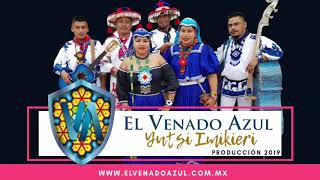 El Venado Azul  Sabiendo quien era yo Yutsi Imikieri 2019 [upl. by Inkster]