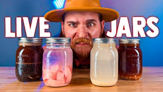 🔴 LIVE  In A Jar  DokaRyan [upl. by Enrobso843]