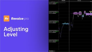 How To Adjust Level in Revoice Pro 5 [upl. by Leonor]