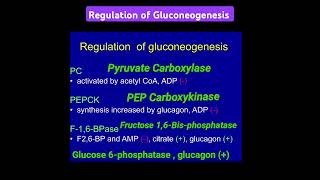 Regulation of Gluconeogenesis  Metabolism Made Easy [upl. by Rodriguez]