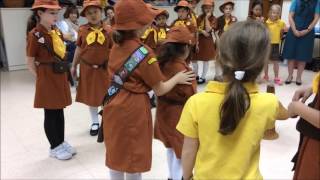 Brownies Promise Ceremony [upl. by Valeta]