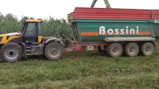 Trinciatura Arundo donax biogas 2013  Ott13 12 [upl. by Aryad198]