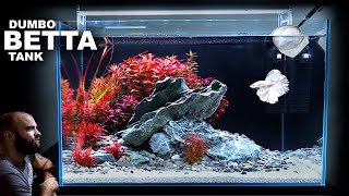 Dumbo Betta Tank AMAZING Red Plant Aquascape Tutorial [upl. by Ashlin]