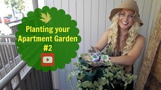 Planting your Apartment Garden 2 [upl. by Yrrek]