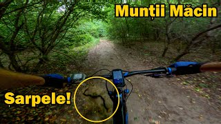 mia dat panică Șarpele ăsta  munții Măcin [upl. by Danielle740]