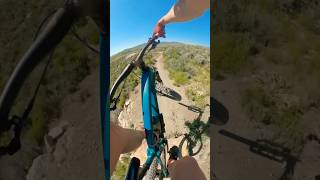 Ladder bridge gaps and manuals bike mtb [upl. by Callean]