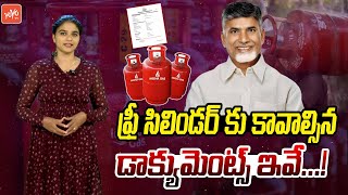 AP Free Gas Cylinder Scheme Eligibility amp Full Details  Deepam Scheme  CM Chandrababu  YOYOTV [upl. by Julissa794]