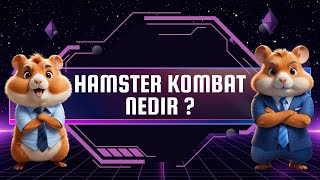 HAMSTER KOMBAT NEDİR  BALON PROJE Mİ   TELEGRAM BOTLARI İNCELEME 2 [upl. by Fang]