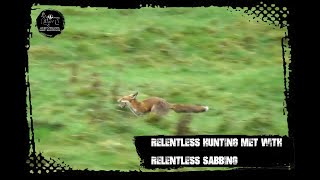 Relentless hunting met with relentless sabbing [upl. by Twelve84]