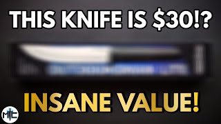 The Value On This Cold Steel Knife Is ABSURD Im Blown Away  Knife Unboxing [upl. by Irek]