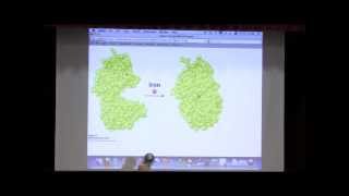 Kevin Aherns BiteSized Biochemistry 3 Protein Structure I [upl. by Aknaib]