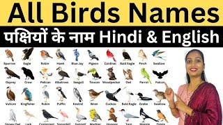 Birds Names In English And Hindi  पक्षियों के नाम  Pakshiyon Ke Naam Hindi Or English Mein [upl. by Nosle]